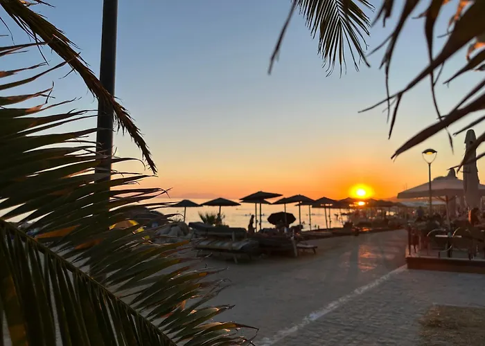 Sea Shell * Nikiti (Sithonia)